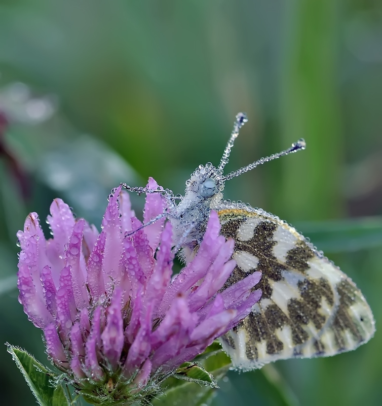 Осенняя беседа-1......