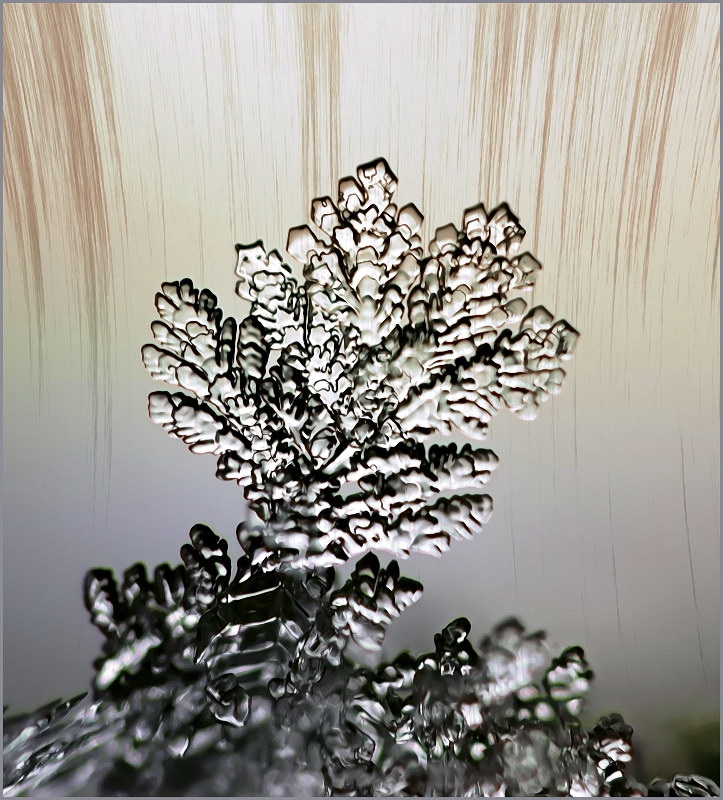 Следы будущего......