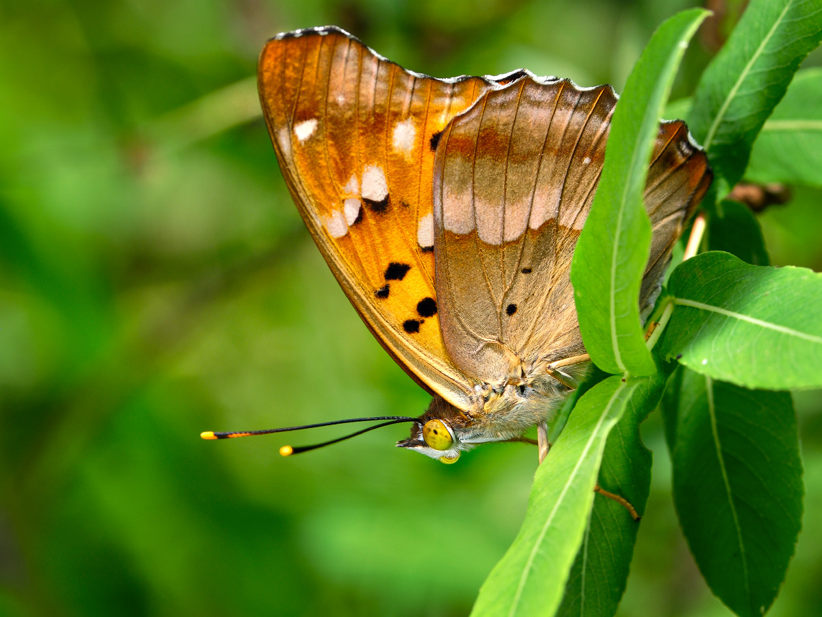 на низком старте