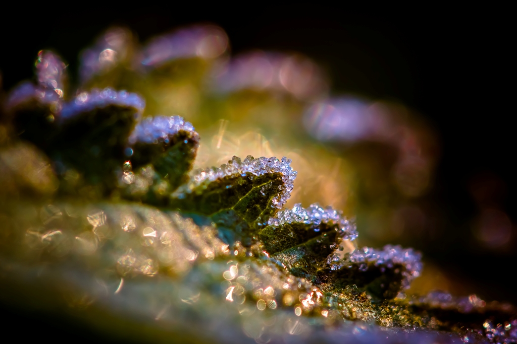 Хребет дракона...