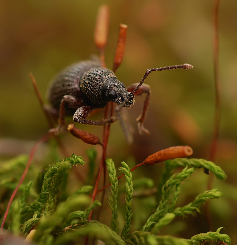 Природа и ...