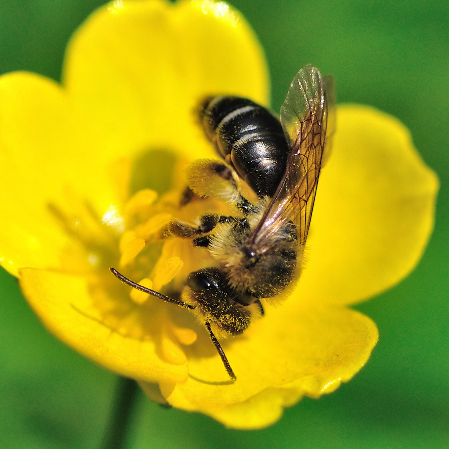 испачкалась за работой