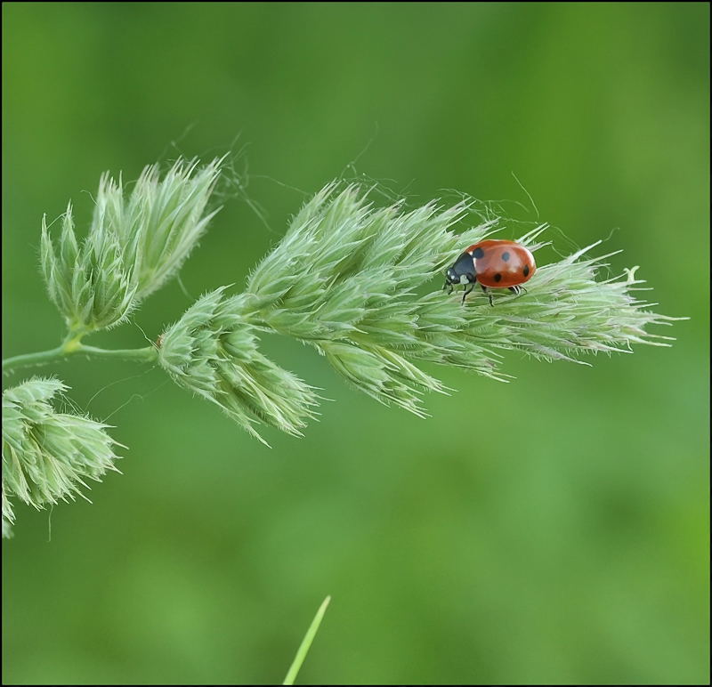 И моря тишины прибой...