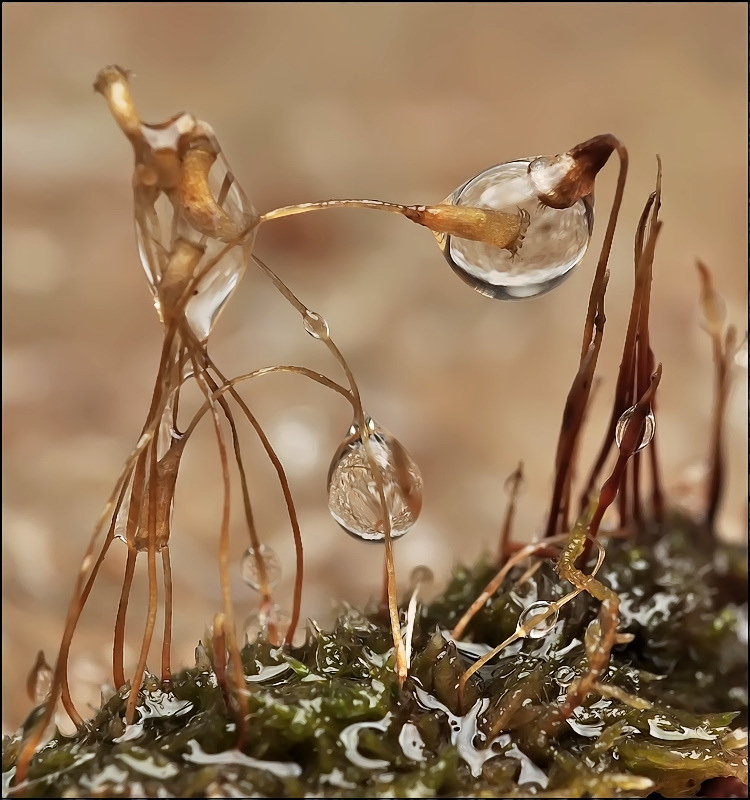 Переговоры...