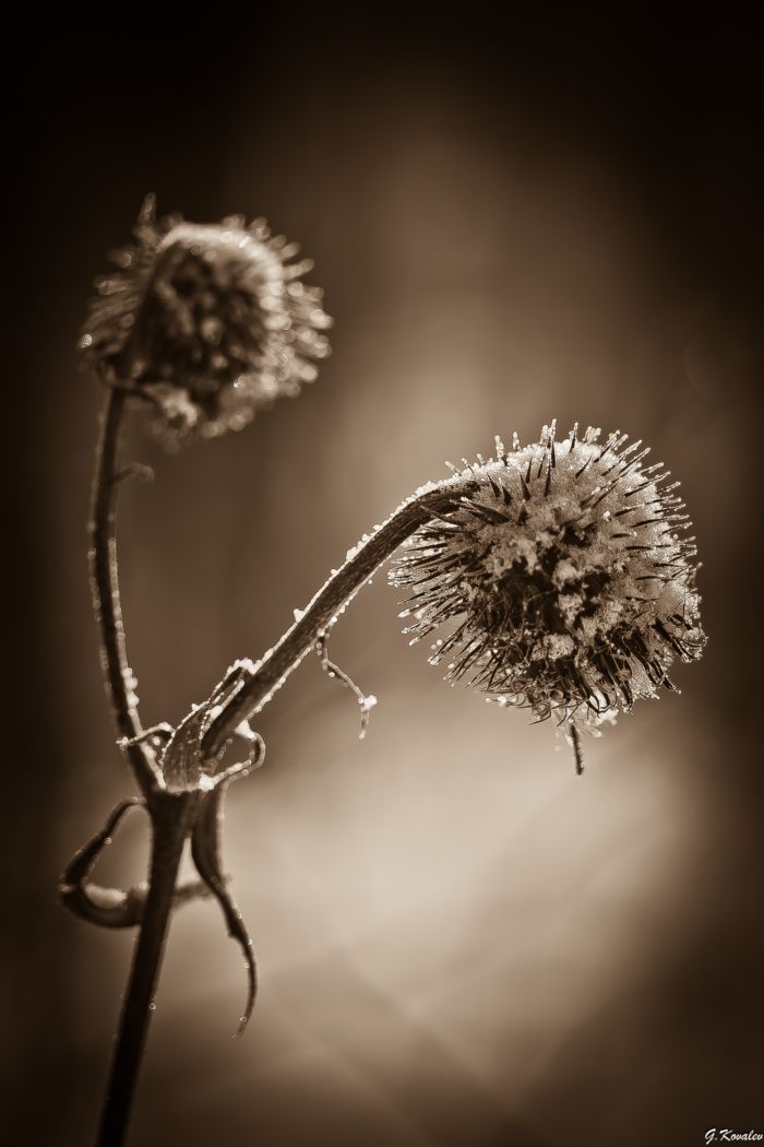 С любимыми не расставайтесь,и каждый раз на век прощайтесь,когда уходите на миг!