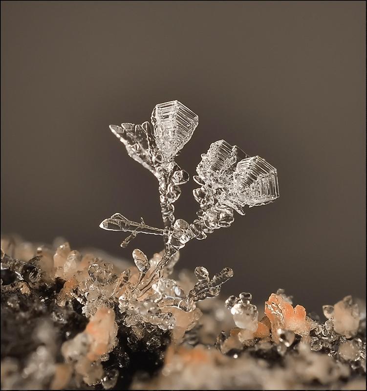 Ёлки-палки постовой...