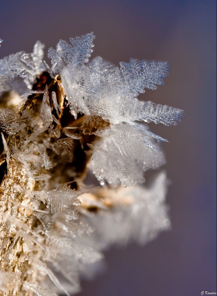 Королевство кривых зеркал...