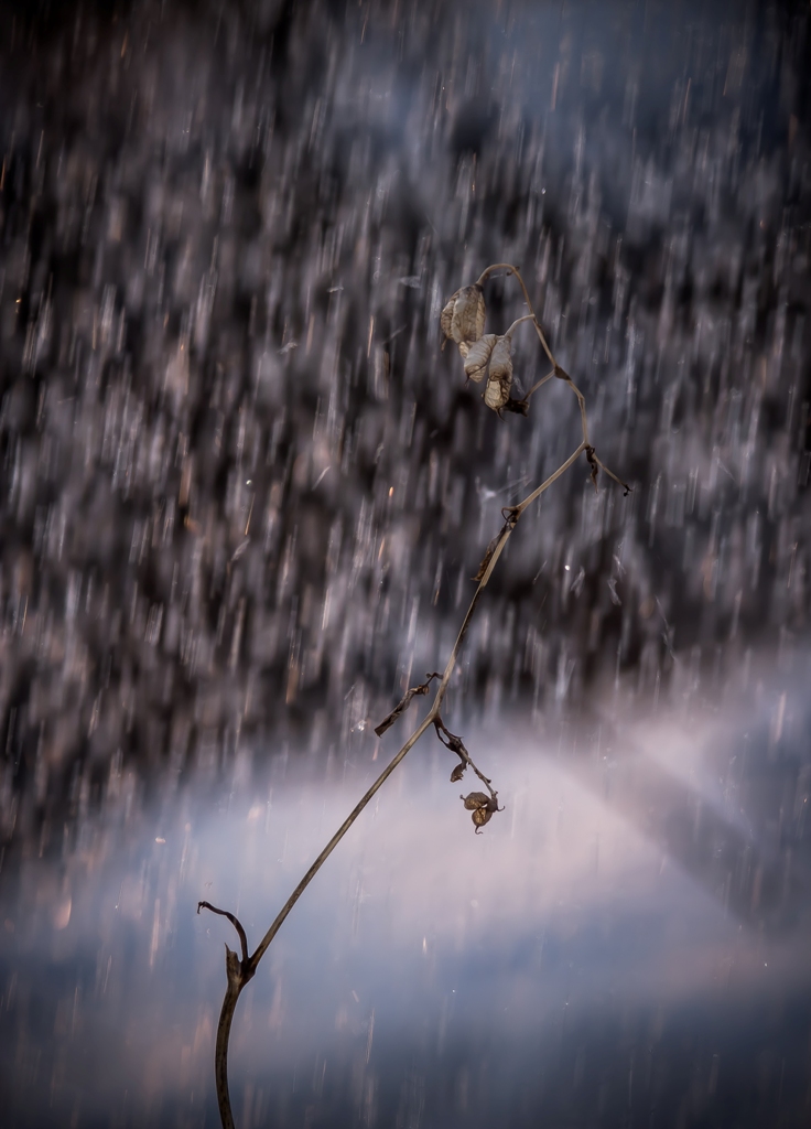 В вечернем дожде декабря...