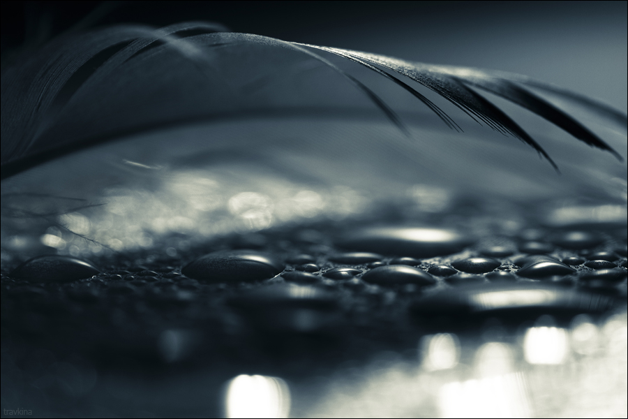 Укрой меня. Если хочешь...