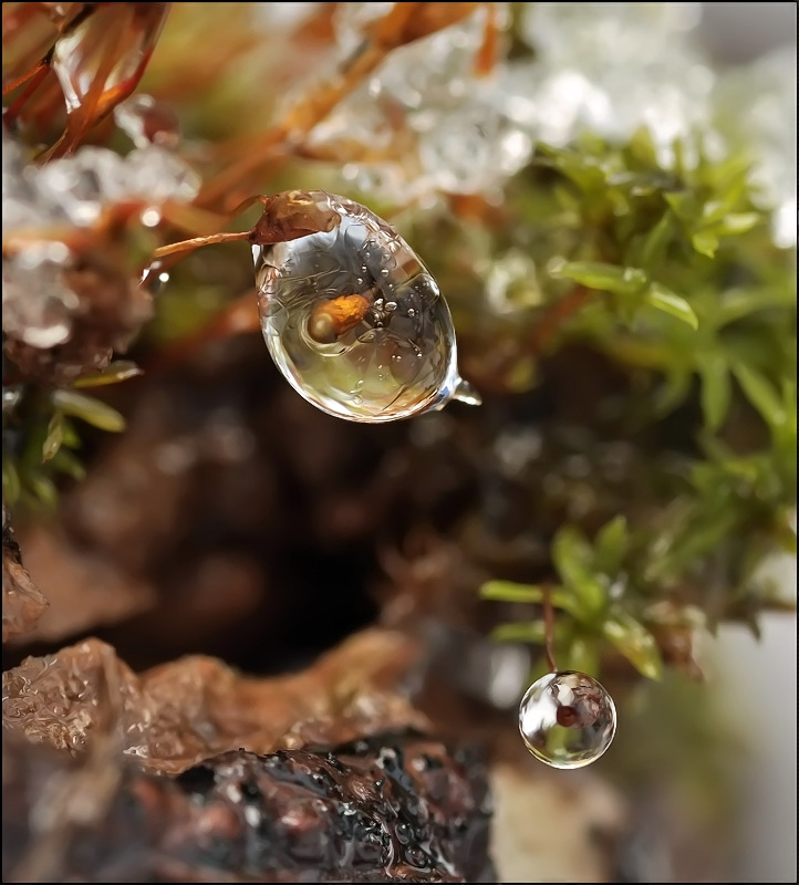 Сквозь ледяные просторы...