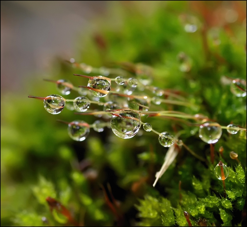 Исчезли солнечные дни...