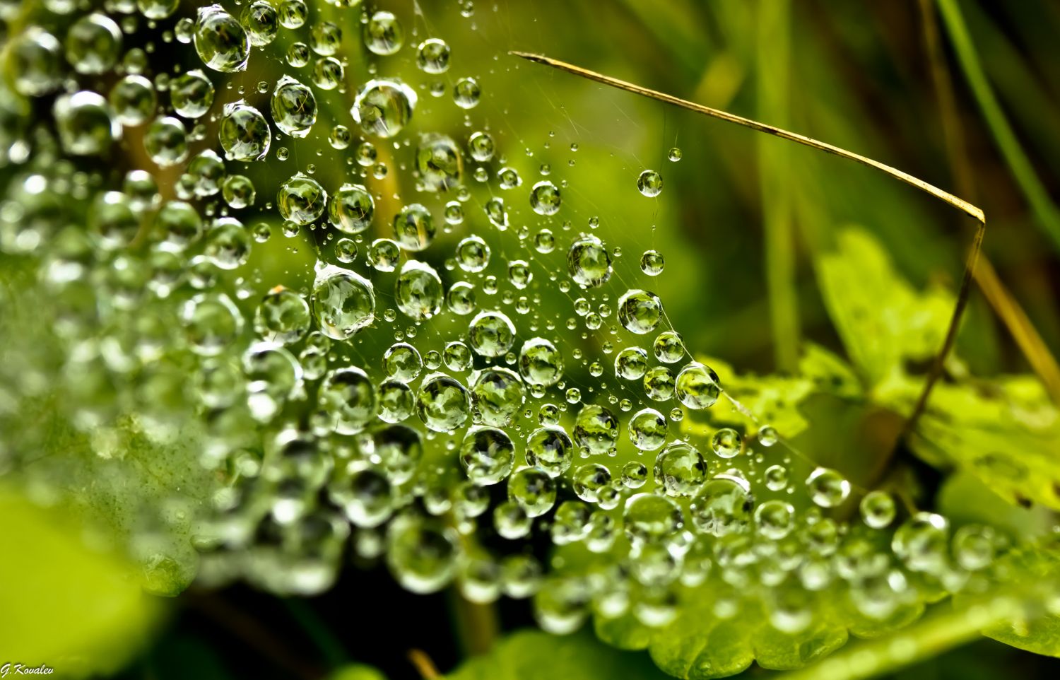 Отдать паруса...