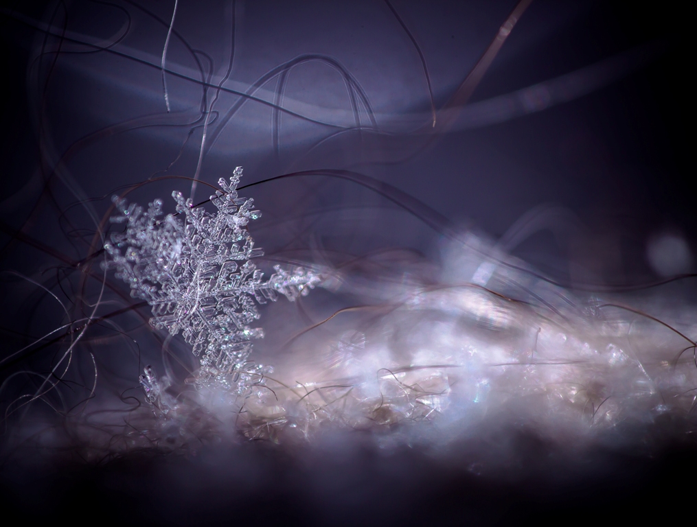 Сюрпризы матушки зимы...