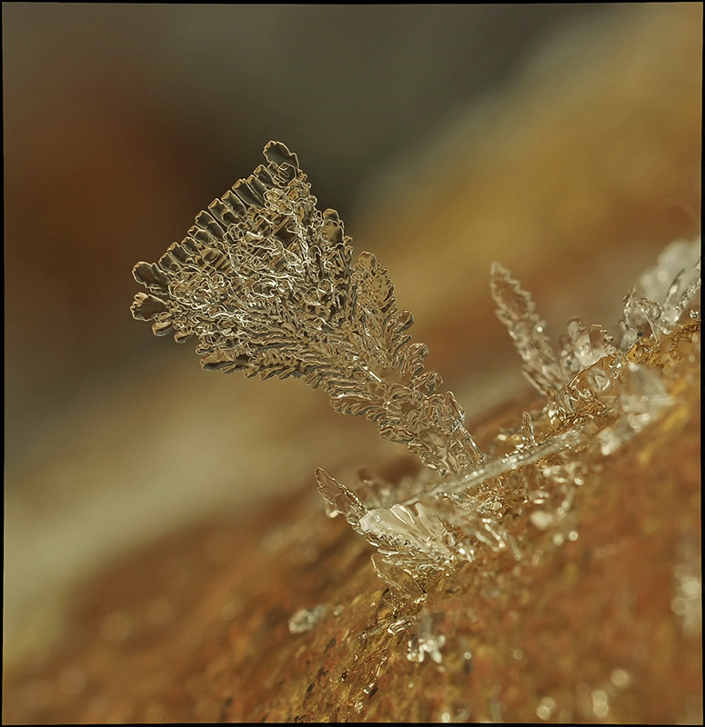 Кубок дождя...