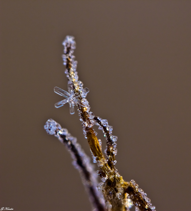 В кристаллах Сваровски...