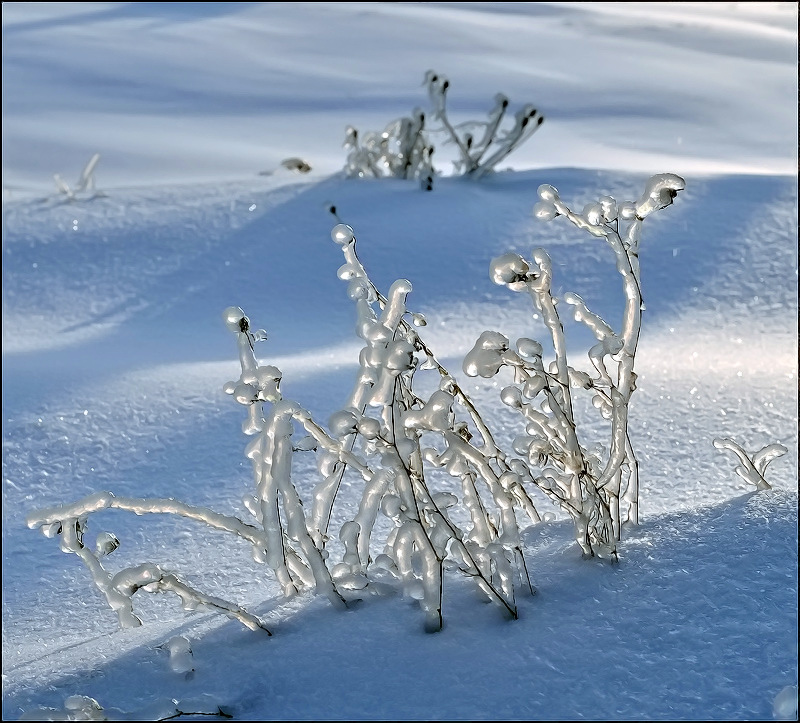 Волшебные палочки...