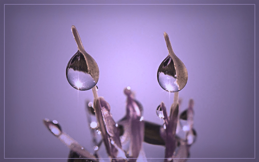 Двое из ларца