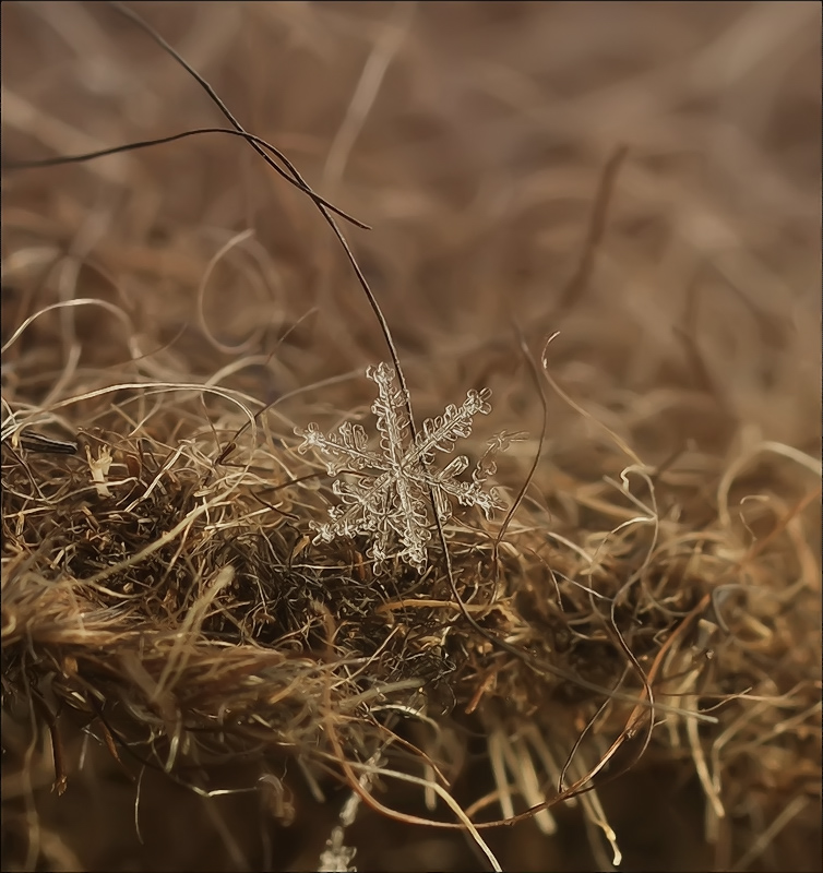 Небесные ошибки...