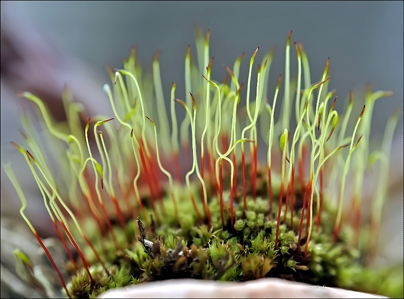 Дрожь земли...