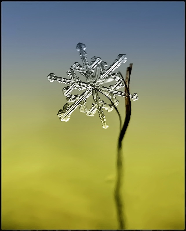 С НАСТУПАЮЩИМ ВАС!!!