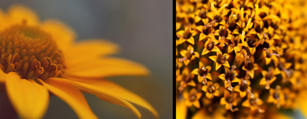 Цвет - жёлтый