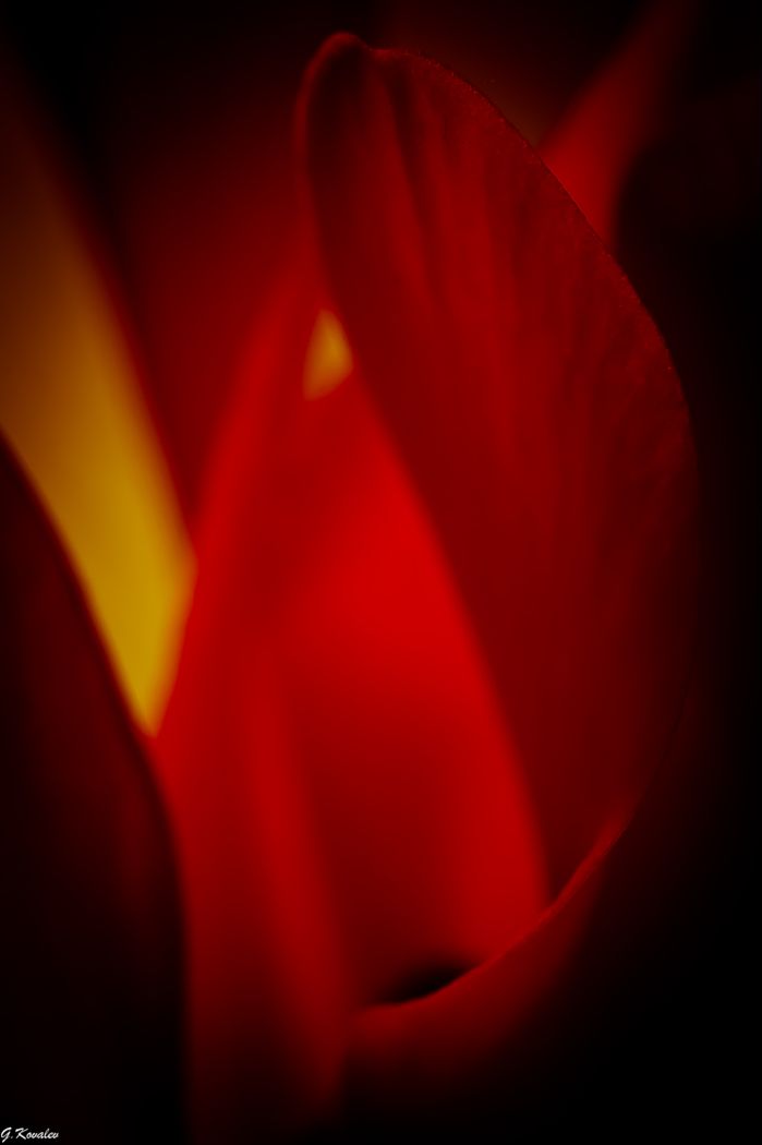 Домик для Дюймовочки..