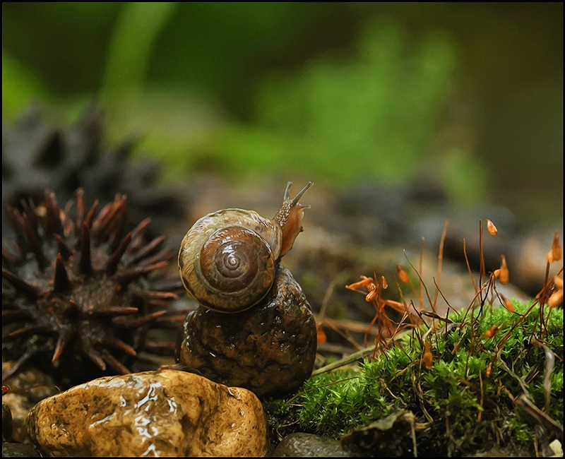 Моя любимая ,где же ты...???