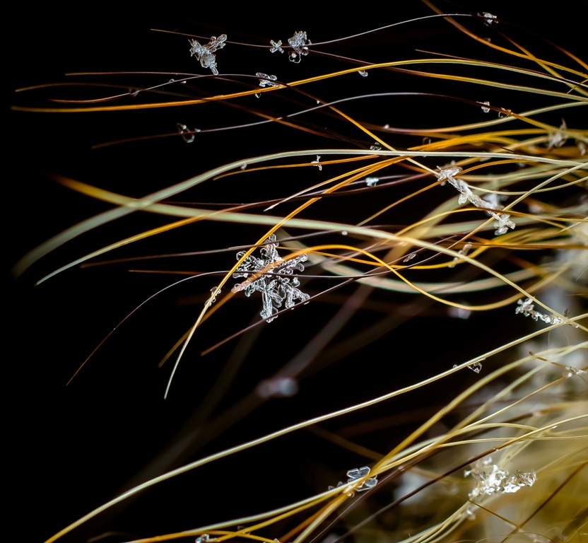 На звёздном небе...