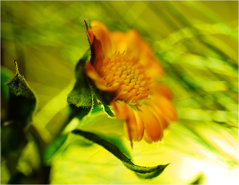 Тепло. Будет.