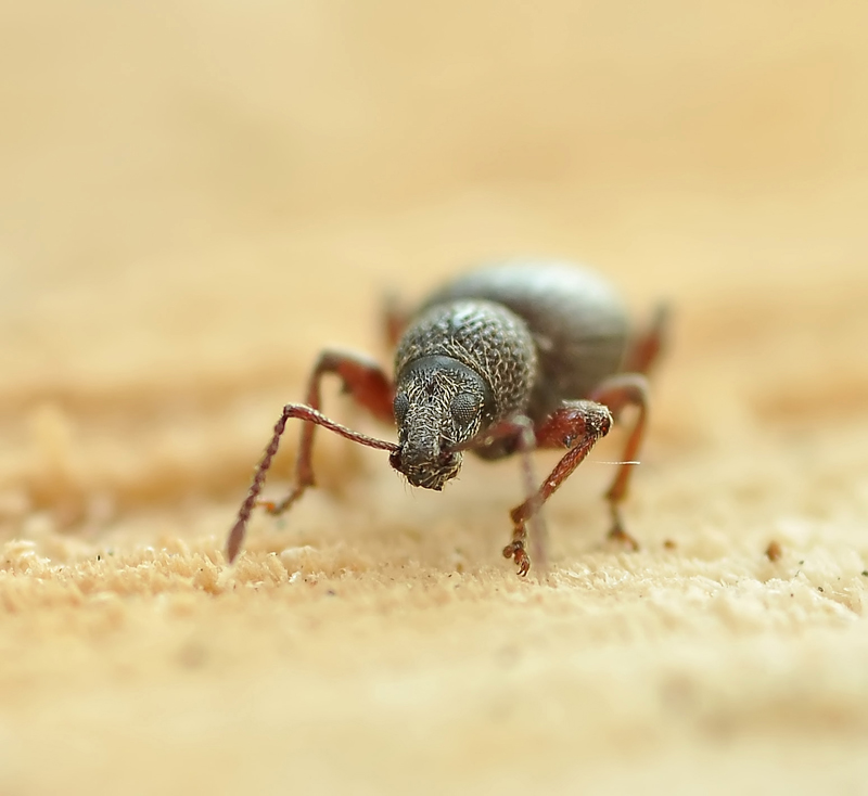 Масштабный..