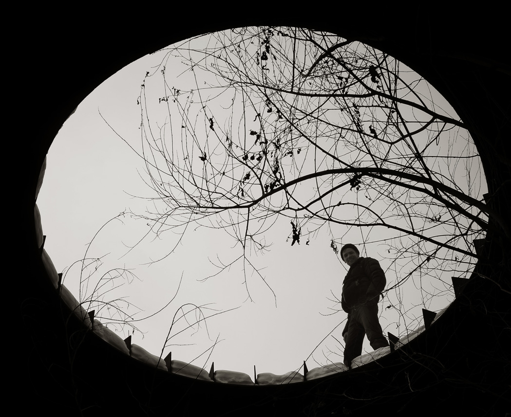 В сфере деятельности....