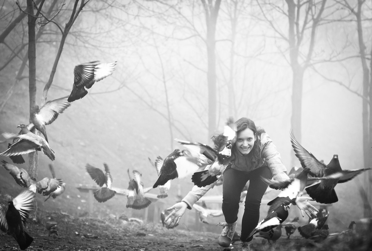 Разгоняя голубей