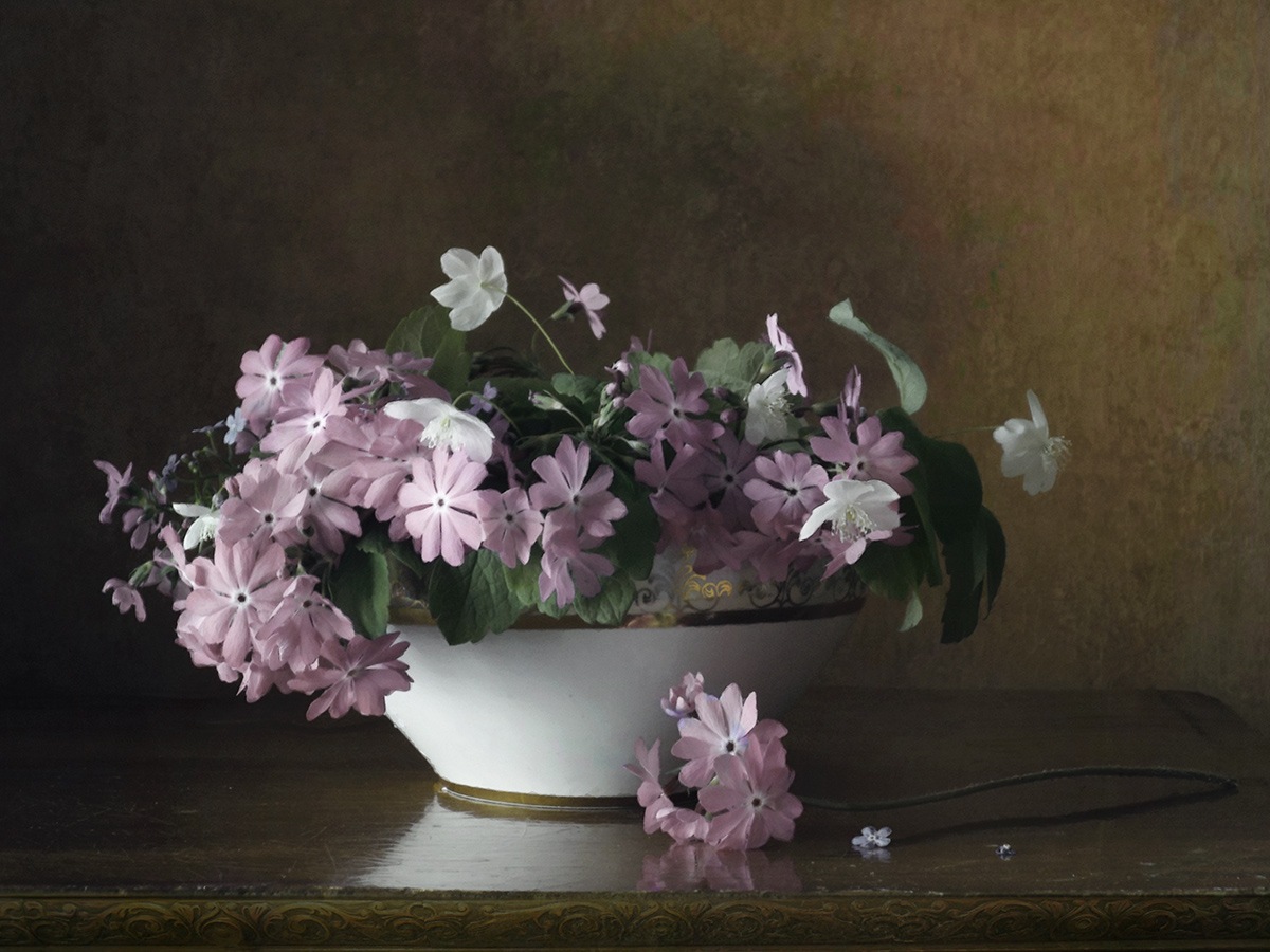 Весенняя примула...