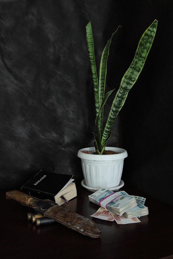 Правильный-выбор-2