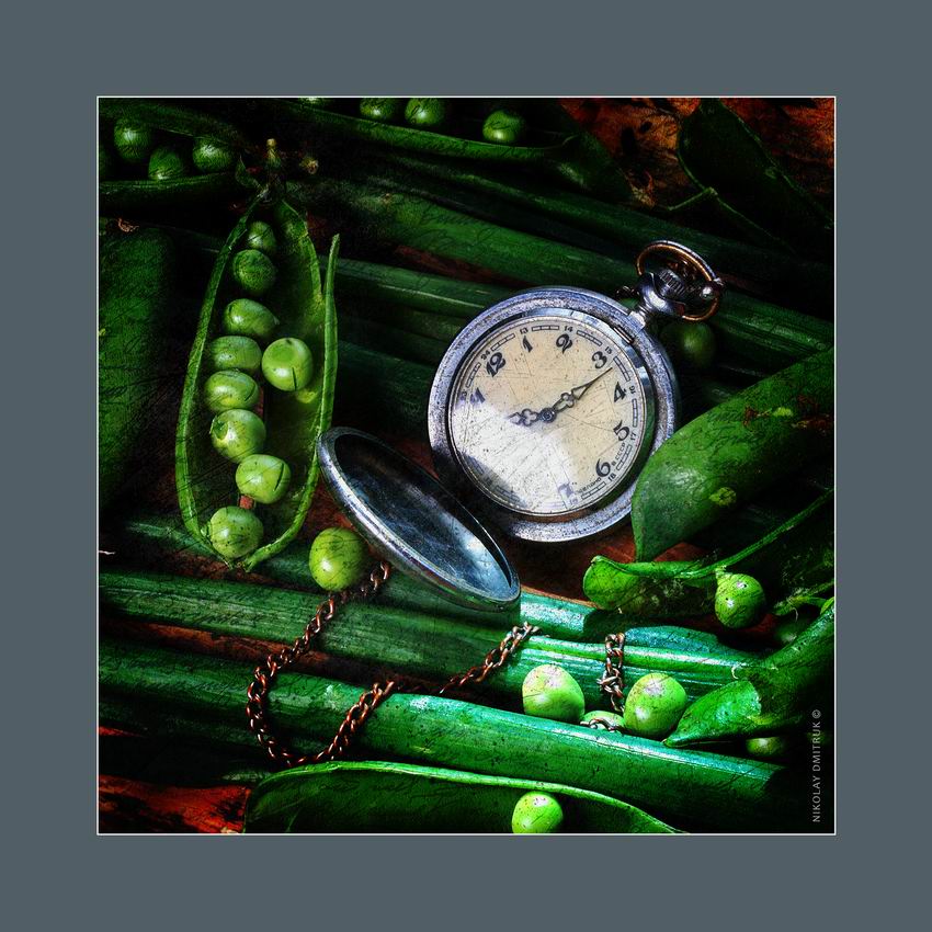 хронометр. 2019