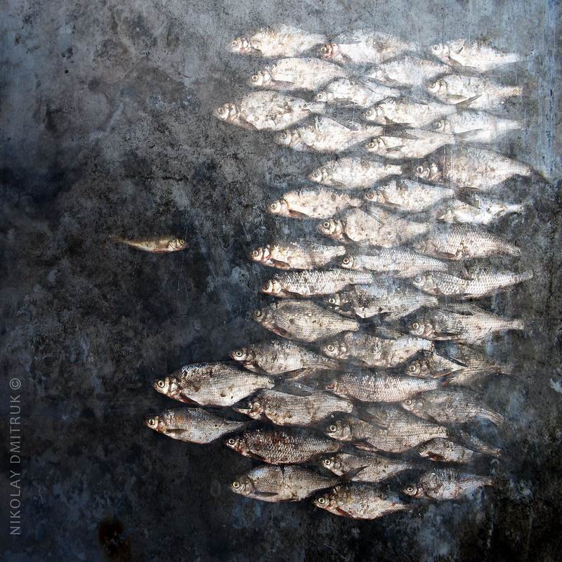 Фотографический натюрморт the Wall