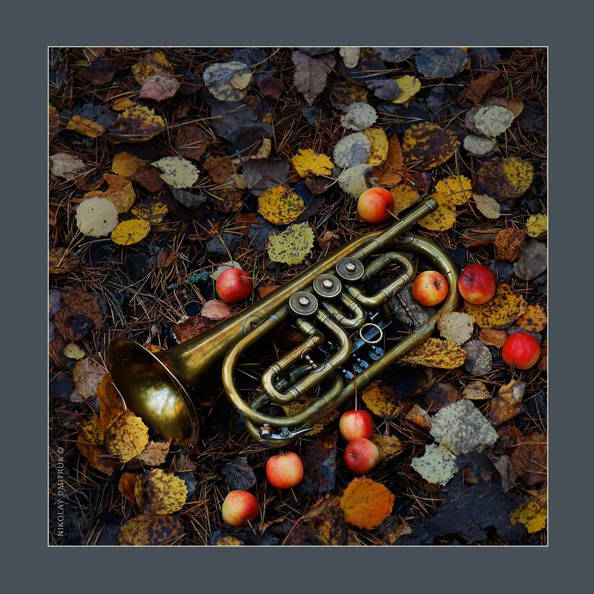 Паркер. осень. 2018