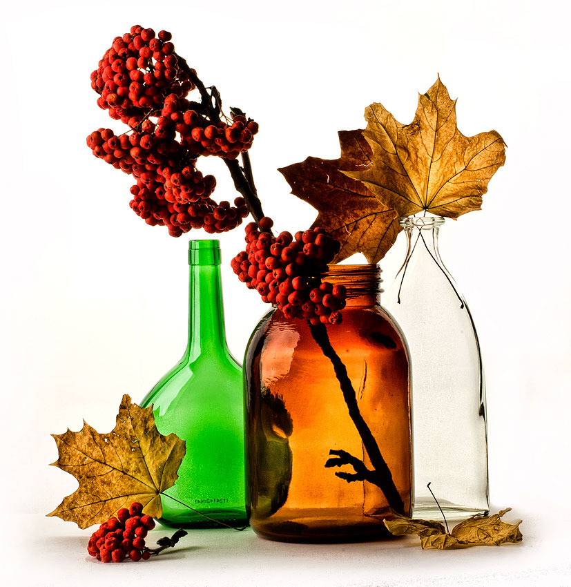 этюд с рябиной