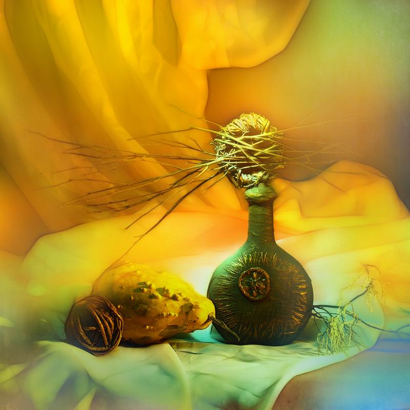 солнечный дворник