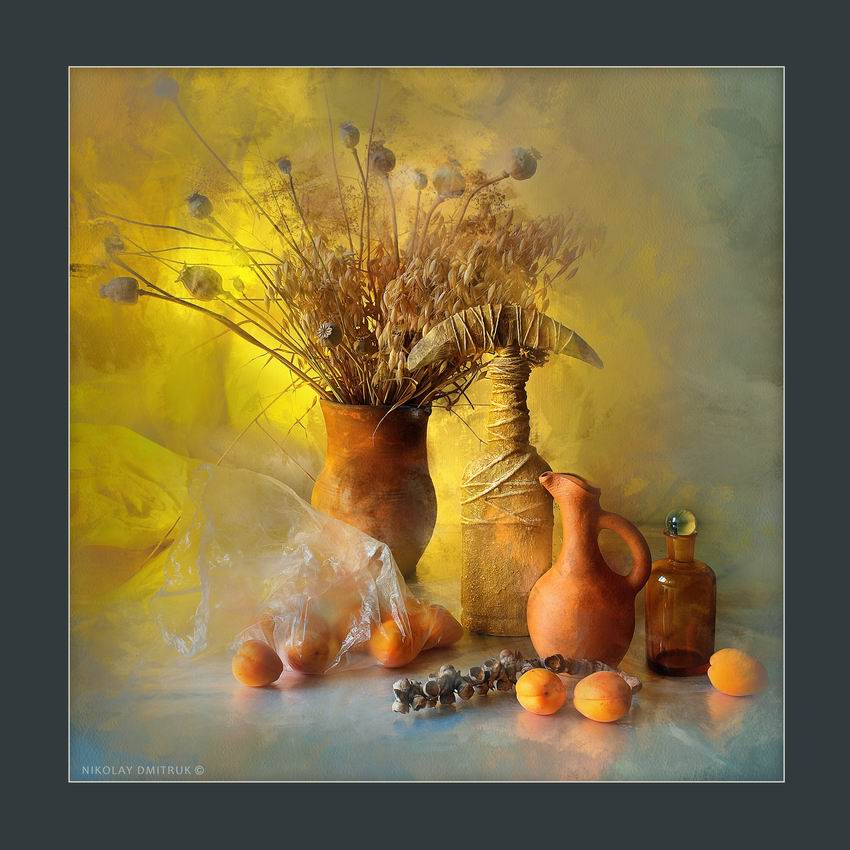 абрикосы и солнце. 2017