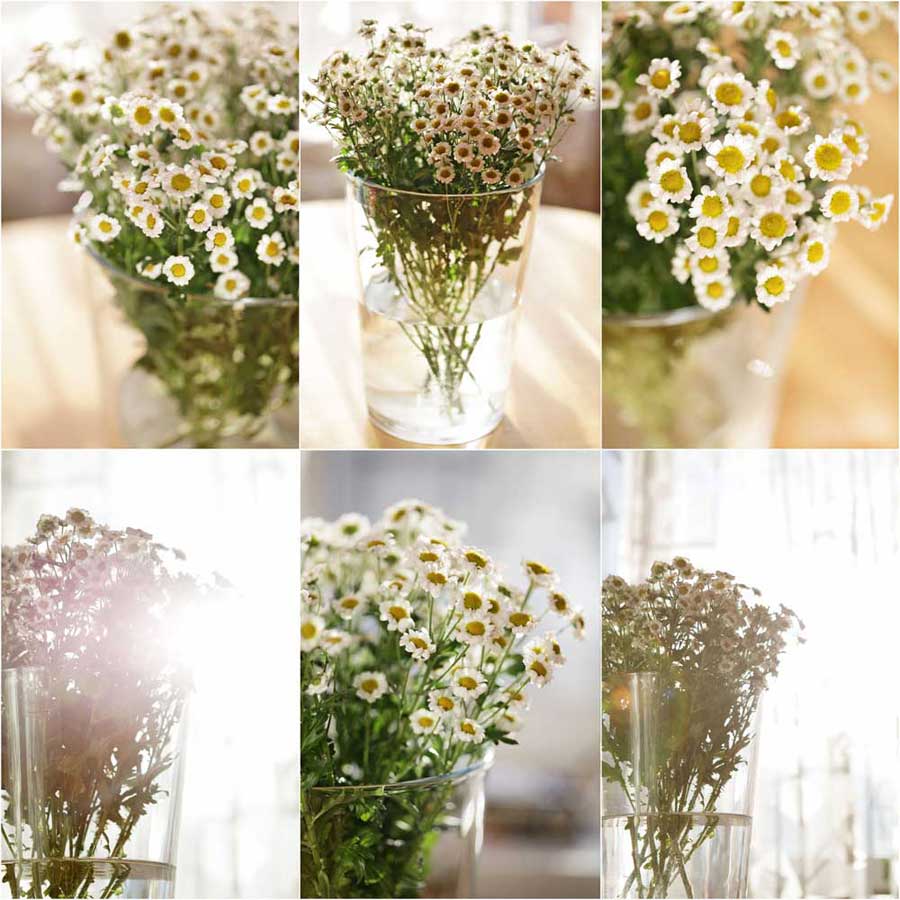 весна однака