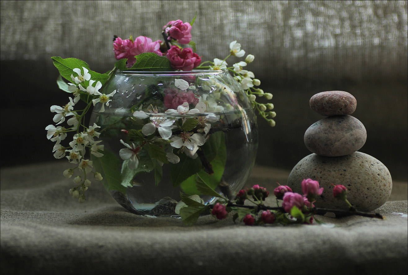 Кусочек весны