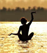 черный лебедь