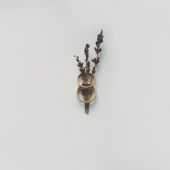 поздравляю!)