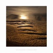 Звоз. струги. сон N1