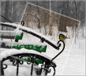 Фото на память. Фото на память.