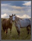 Сладкая парочка