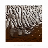 Звоз. струги. сон N4