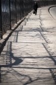 тень на плетень