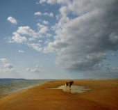 в е р н и с ь